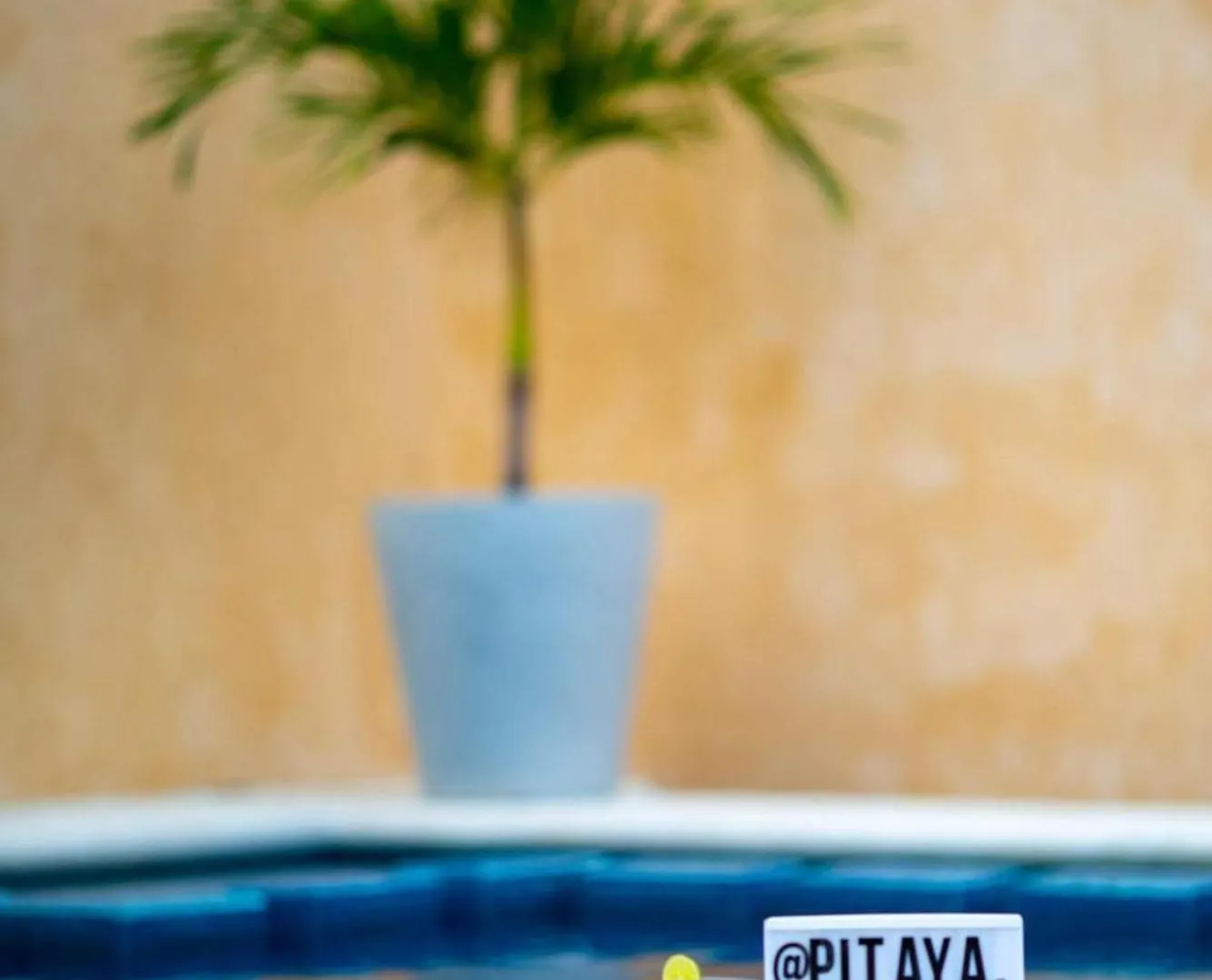 Casa Pitaya Apartment Cancun 0*,  Mexico